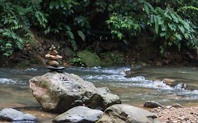 Rain Forest Guest House And Jungle Trekking